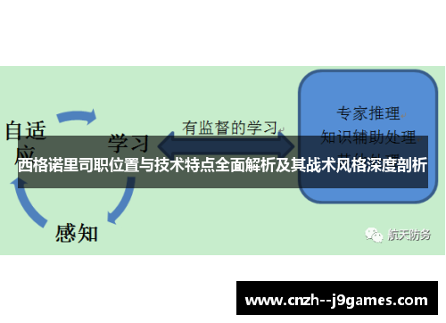 西格诺里司职位置与技术特点全面解析及其战术风格深度剖析