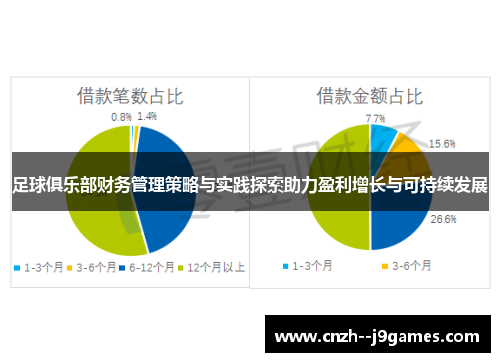 足球俱乐部财务管理策略与实践探索助力盈利增长与可持续发展 足球俱乐部财务管理策略与实践探索助力盈利增长与可持续发展